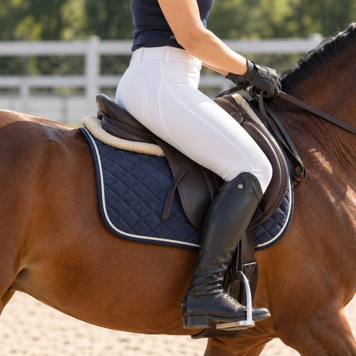 Rider in white breeches sitting the trot, side view